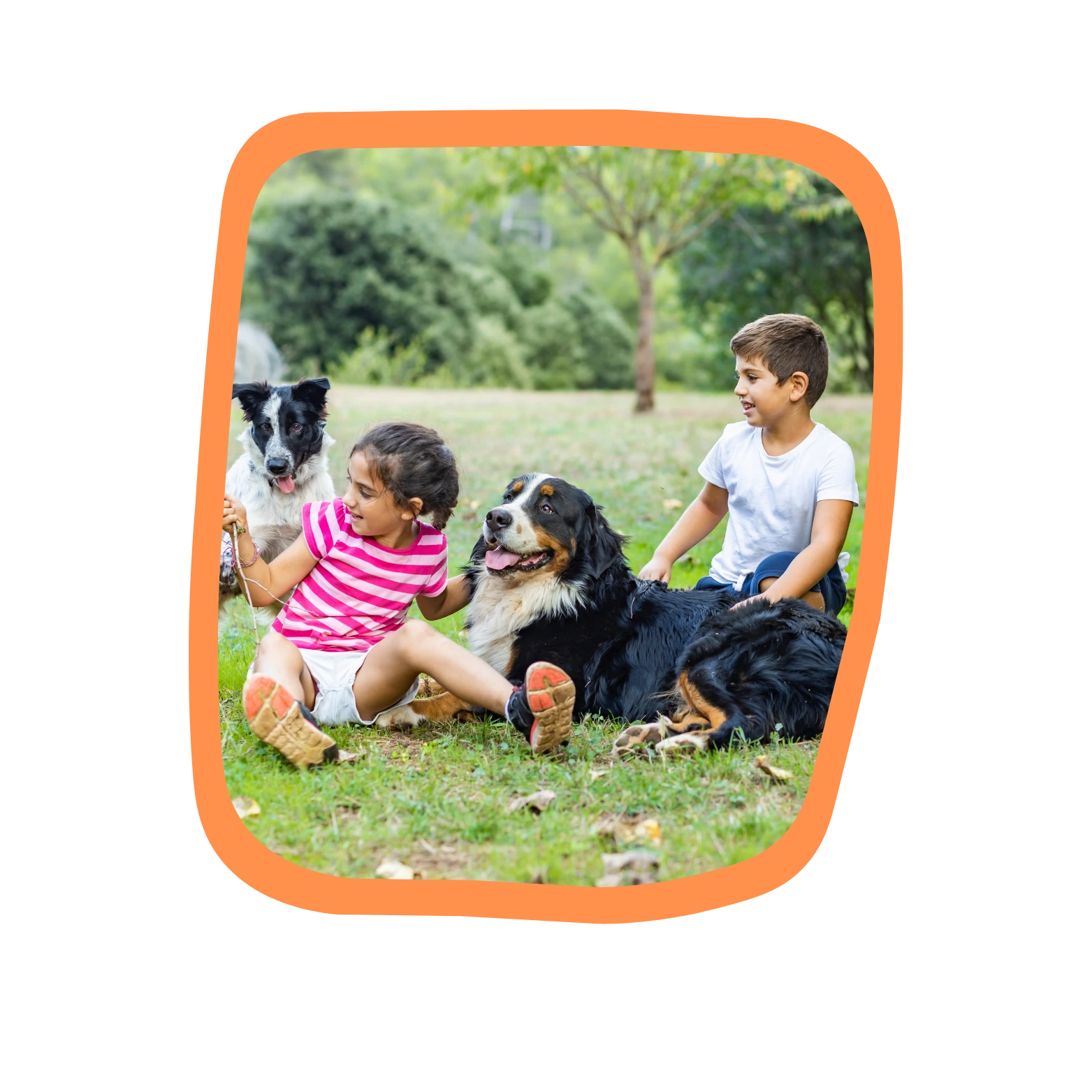 how to teach dog safety to kids